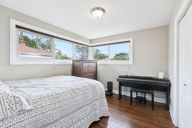 9333 Kildare Ave, Skokie, IL 60076 - bedroom featuring multiple windows and dark wood finished floors