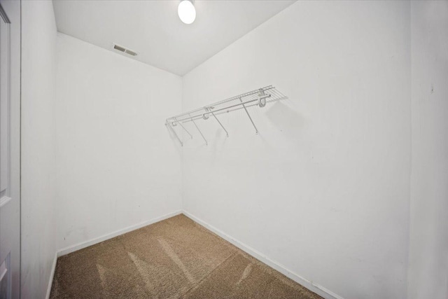 180 New Haven Dr, Cary, IL 60013 - spacious closet featuring carpet flooring