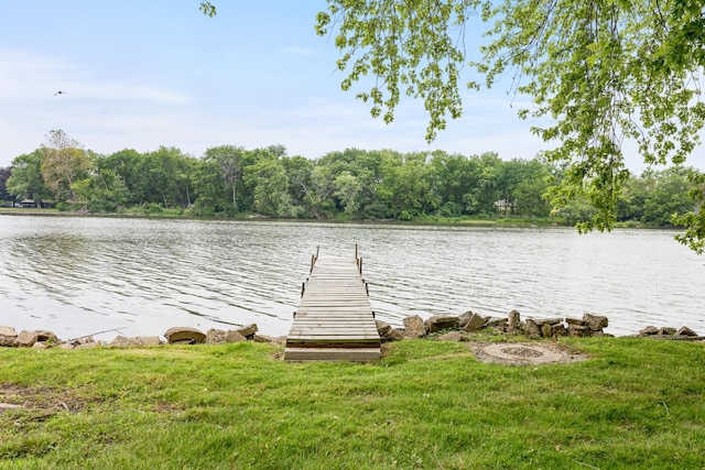 550 N Center St, South Elgin, IL 60177 - dock with a water view and a yard