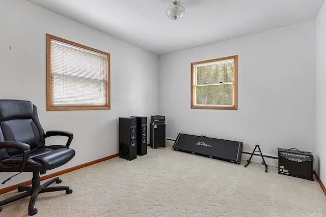 550 N Center St, South Elgin, IL 60177 - office with carpet and baseboards