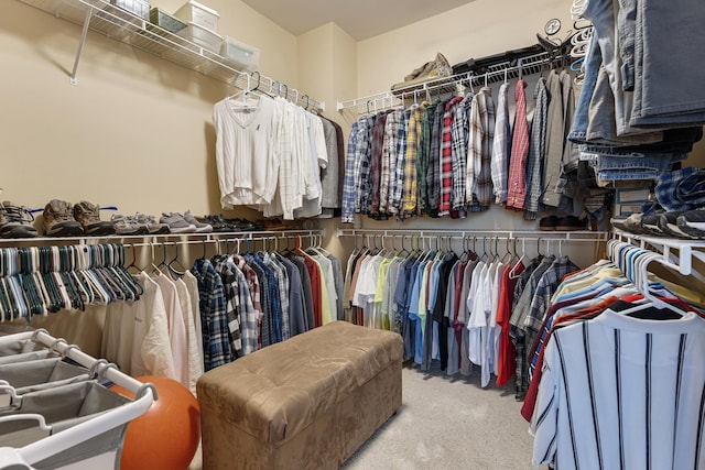 11692 Sunderlin Dr, Huntley, IL 60142 - spacious closet with carpet floors
