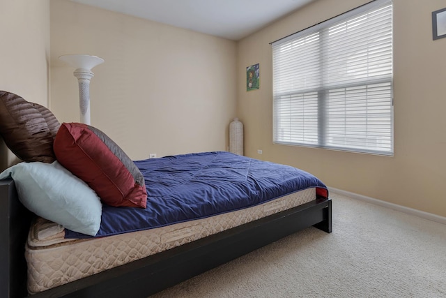 11692 Sunderlin Dr, Huntley, IL 60142 - carpeted bedroom featuring baseboards