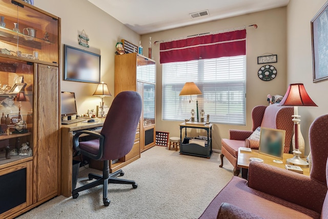 11692 Sunderlin Dr, Huntley, IL 60142 - view of carpeted home office