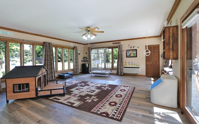 3710 Spy Glass Ridge Rd, Crystal Lake, IL 60012 - living area featuring ceiling fan, wood finished floors, and crown molding