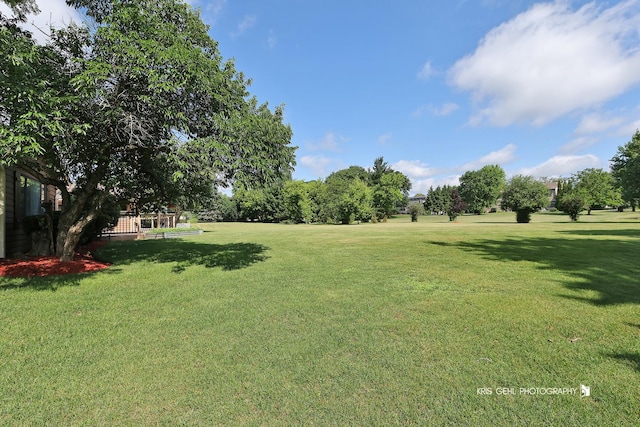 3710 Spy Glass Ridge Rd, Crystal Lake, IL 60012 - view of grassy yard