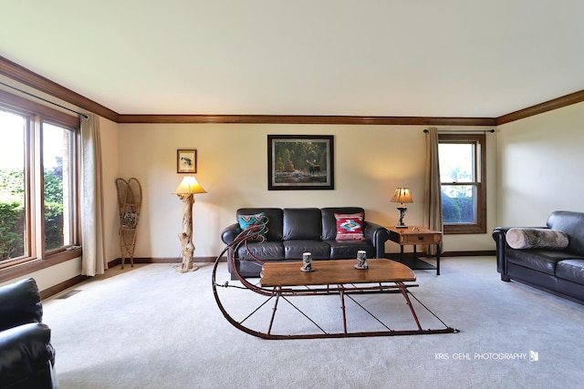 3710 Spy Glass Ridge Rd, Crystal Lake, IL 60012 - living area featuring light colored carpet, crown molding, and healthy amount of natural light