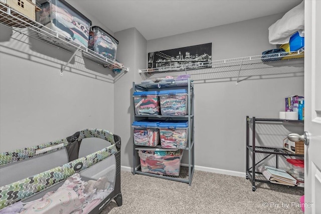 1141 Westlake Dr, Cary, IL 60013 - spacious closet featuring carpet flooring