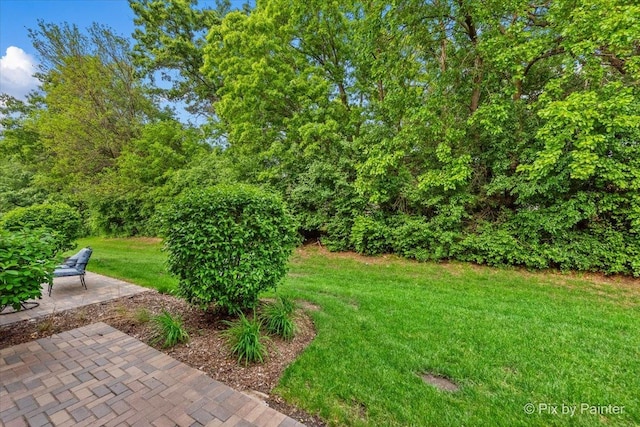 1141 Westlake Dr, Cary, IL 60013 - view of green lawn with a patio