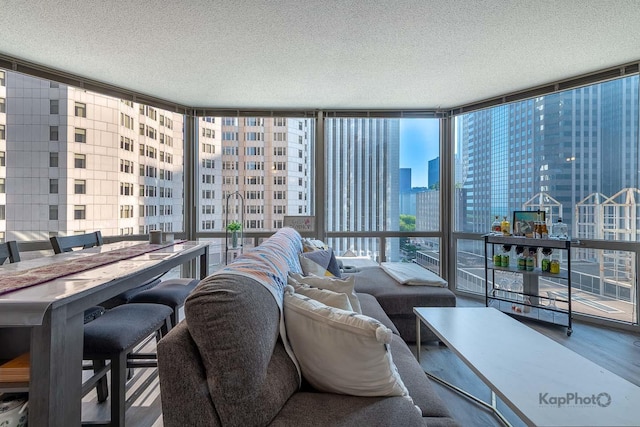 222 N Columbus Dr Unit 912, Chicago, IL 60601 - living room featuring a textured ceiling, a city view, a wall of windows, and wood finished floors