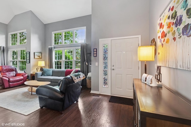 living room featuring high vaulted ceiling and dark wood-type flooring