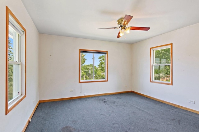 300 Stone St, South Elgin, IL 60177 - carpeted empty room with plenty of natural light and ceiling fan