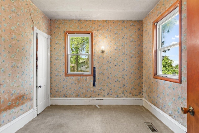 300 Stone St, South Elgin, IL 60177 - empty room featuring carpet floors