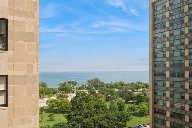 1640 E 50th St Unit 13B, Chicago, IL 60615 - water view featuring a tree filled landscape