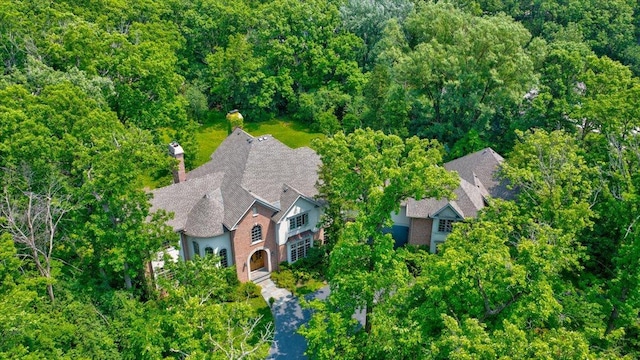 1005 Hiawatha Ln, Riverwoods, IL 60015 - view of subject property featuring a forest