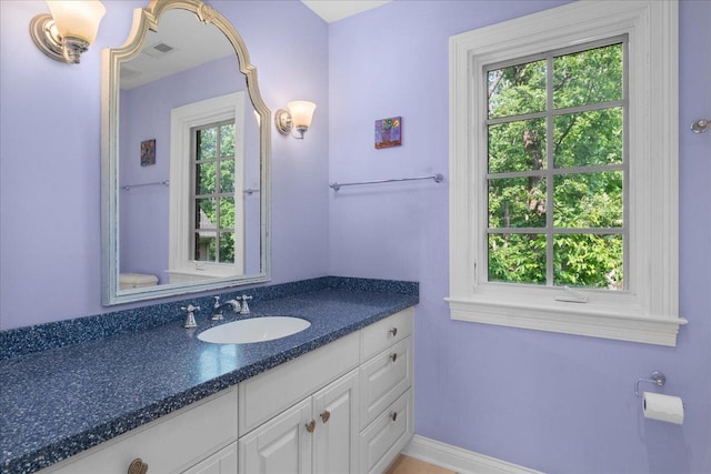 1005 Hiawatha Ln, Riverwoods, IL 60015 - bathroom featuring vanity and plenty of natural light