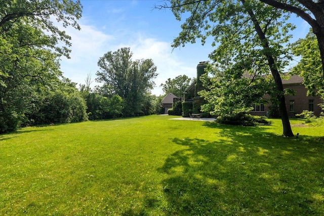 1005 Hiawatha Ln, Riverwoods, IL 60015 - view of green lawn