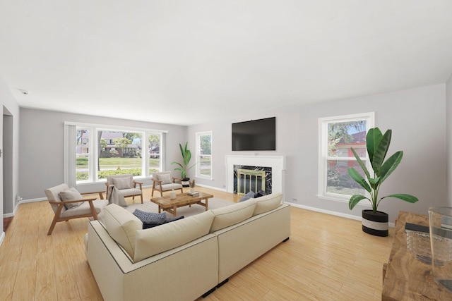 255 Irving Blvd, Chicago Heights, IL 60411 - living area with plenty of natural light, a fireplace, and light wood finished floors