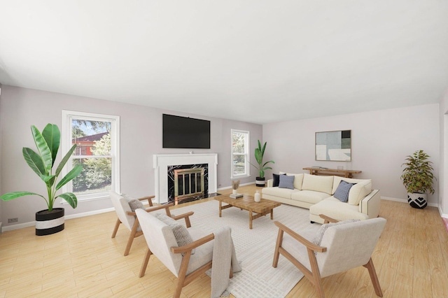 255 Irving Blvd, Chicago Heights, IL 60411 - living room featuring wood finished floors and a fireplace