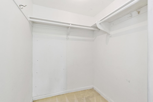 2620 Central Dr Unit 2S, Flossmoor, IL 60422 - spacious closet featuring light colored carpet