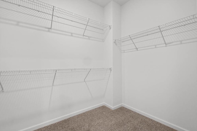 9900 Humbolt St, Huntley, IL 60142 - walk in closet featuring carpet floors
