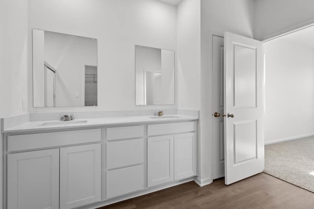 9900 Humbolt St, Huntley, IL 60142 - bathroom with double vanity and wood finished floors