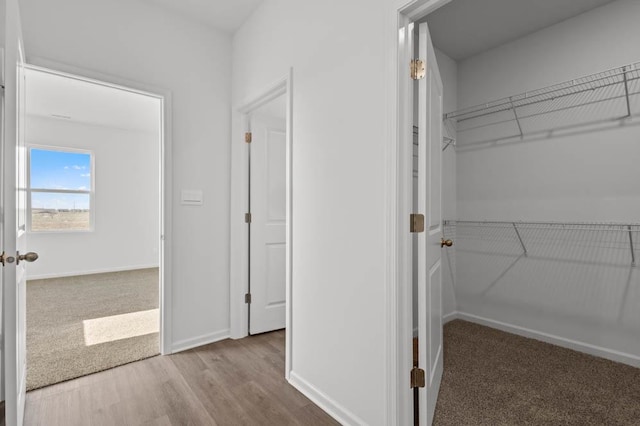 9900 Humbolt St, Huntley, IL 60142 - hall with carpet flooring and wood finished floors