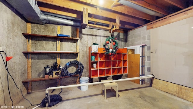 354 Millard Ave, Crystal Lake, IL 60014 - view of unfinished below grade area