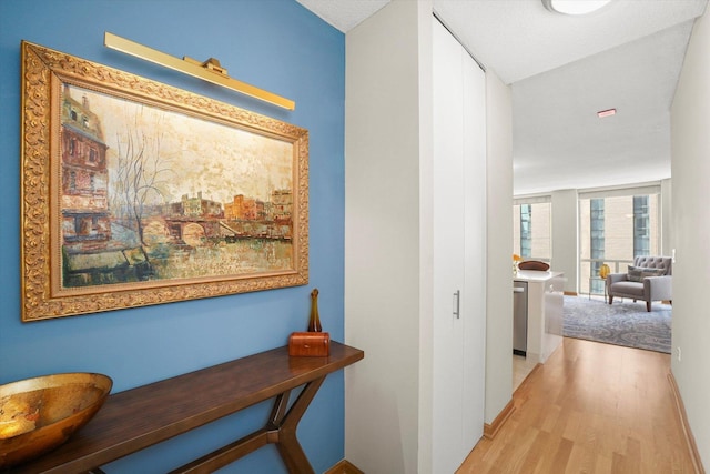 222 N Columbus Dr Unit 1405, Chicago, IL 60601 - corridor with light wood-style floors and baseboards