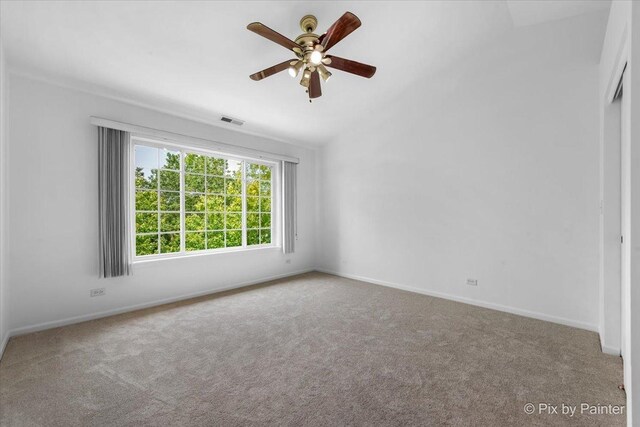 609 Cary Woods Cir, Cary, IL 60013 - carpeted spare room with ceiling fan and lofted ceiling