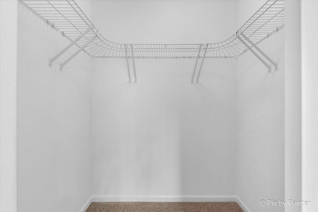 609 Cary Woods Cir, Cary, IL 60013 - spacious closet with carpet flooring
