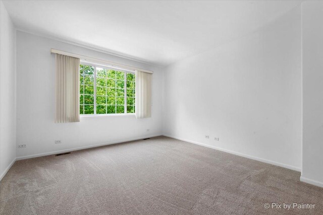 609 Cary Woods Cir, Cary, IL 60013 - empty room with carpet floors