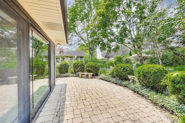 222 Cornell Ave, Des Plaines, IL 60016 - view of patio