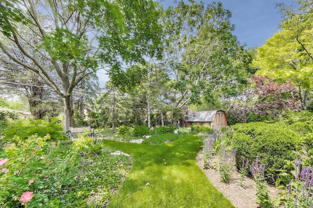 222 Cornell Ave, Des Plaines, IL 60016 - view of green lawn with an outdoor structure