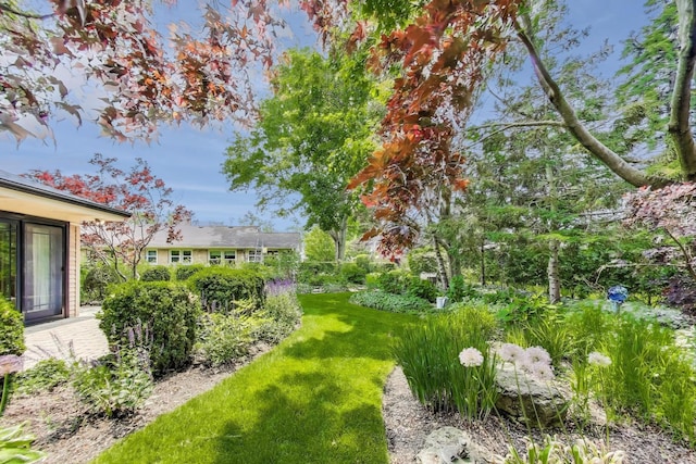 222 Cornell Ave, Des Plaines, IL 60016 - view of green lawn