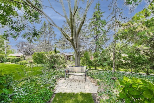222 Cornell Ave, Des Plaines, IL 60016 - view of yard featuring a patio