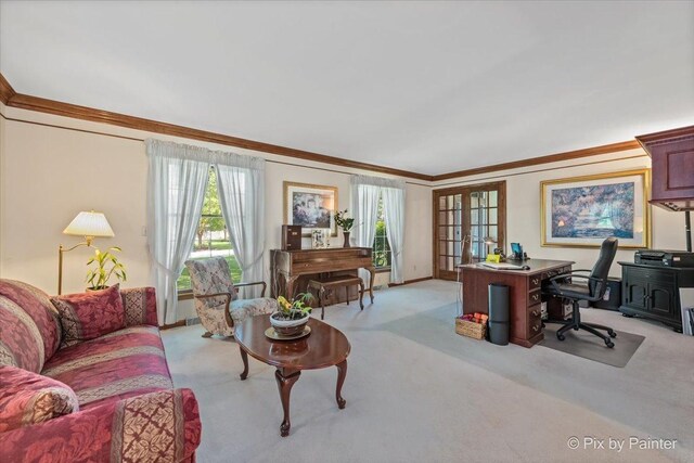 2N445 Beith Rd, Elburn, IL 60119 - office featuring crown molding and light carpet