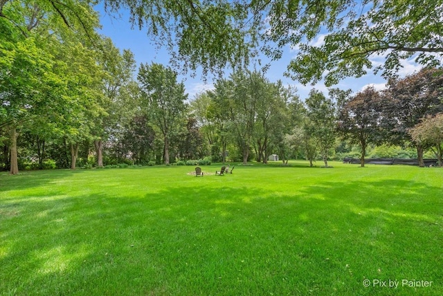 2N445 Beith Rd, Elburn, IL 60119 - view of green lawn with view of wooded area