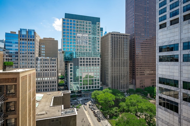 201 E Chestnut St Unit 21F, Chicago, IL 60611 - view of city