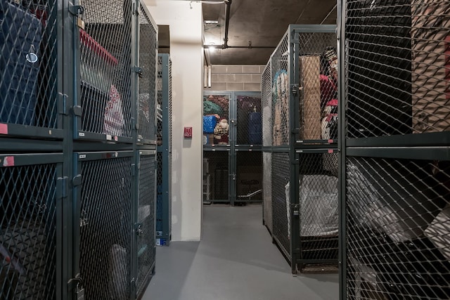 201 E Chestnut St Unit 21F, Chicago, IL 60611 - view of storage room