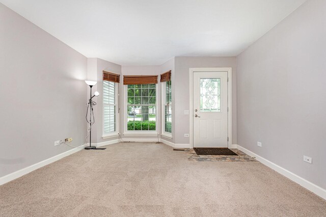 31 E Shagbark Ln, Streamwood, IL 60107 - foyer entrance with carpet