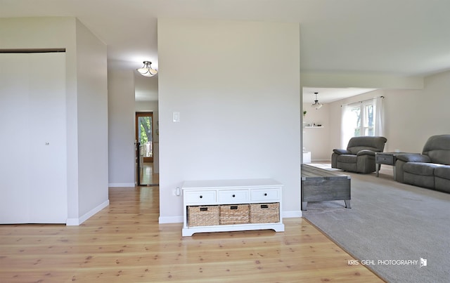 21136 W Engle Dr, Lake Villa, IL 60046 - hallway with wood finished floors
