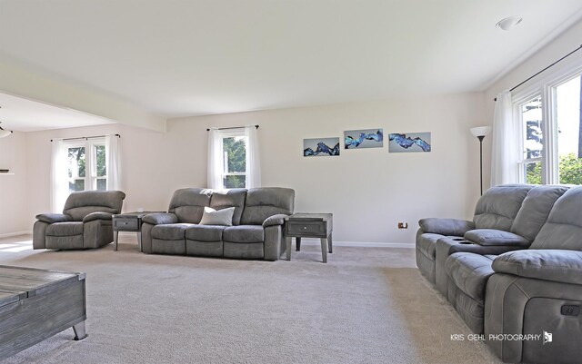 21136 W Engle Dr, Lake Villa, IL 60046 - living area with plenty of natural light and light colored carpet