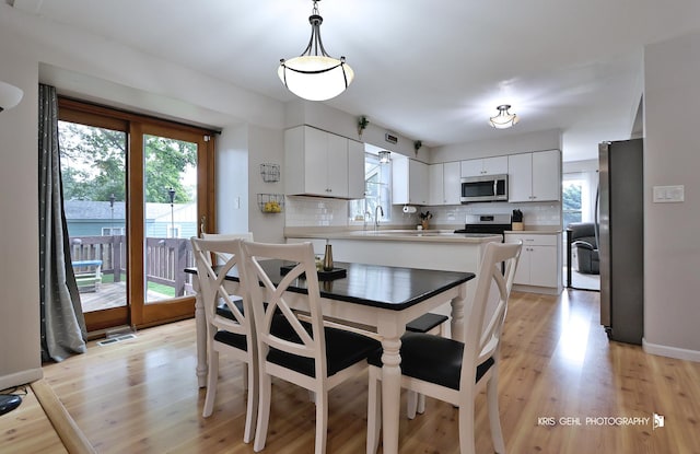 21136 W Engle Dr, Lake Villa, IL 60046 - dining room with light wood-style floors and baseboards
