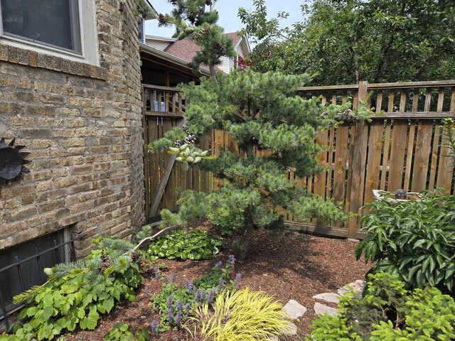 7439 N Maplewood Ave, Chicago, IL 60645 - view of yard