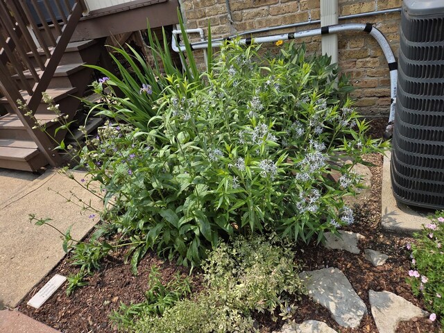 7439 N Maplewood Ave, Chicago, IL 60645 - exterior view of stairs and a cooling unit