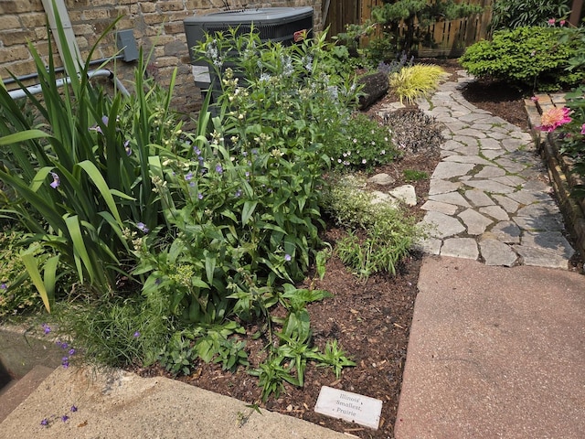 7439 N Maplewood Ave, Chicago, IL 60645 - view of yard