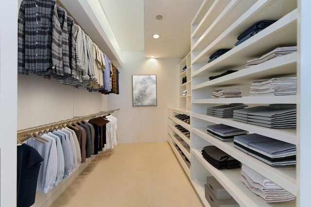 950 N Michigan Ave Unit 4003, Chicago, IL 60611 - walk in closet with carpet flooring