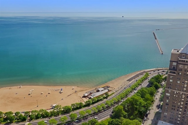 950 N Michigan Ave Unit 4003, Chicago, IL 60611 - water view