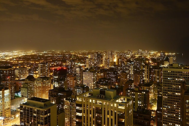 950 N Michigan Ave Unit 4003, Chicago, IL 60611 - view of city with a view of city lights