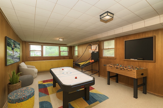 333 Elm St, Glen Ellyn, IL 60137 - playroom with wooden walls and light colored carpet
